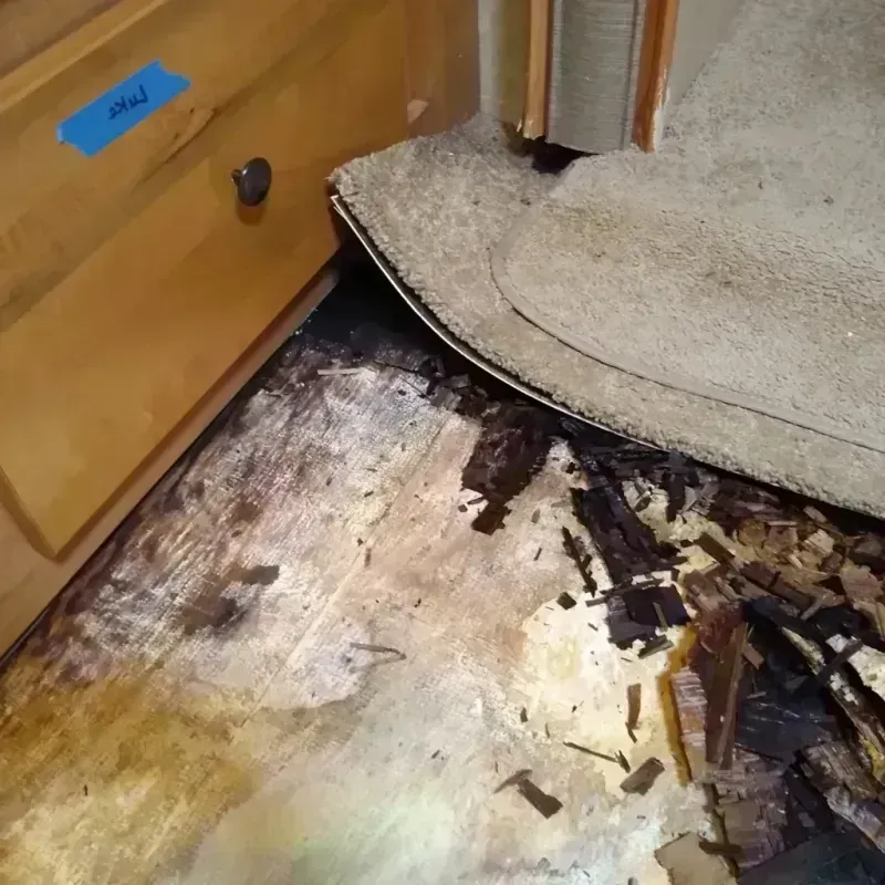 Best Wood Floor Water Damage Service in Clinton County, NY